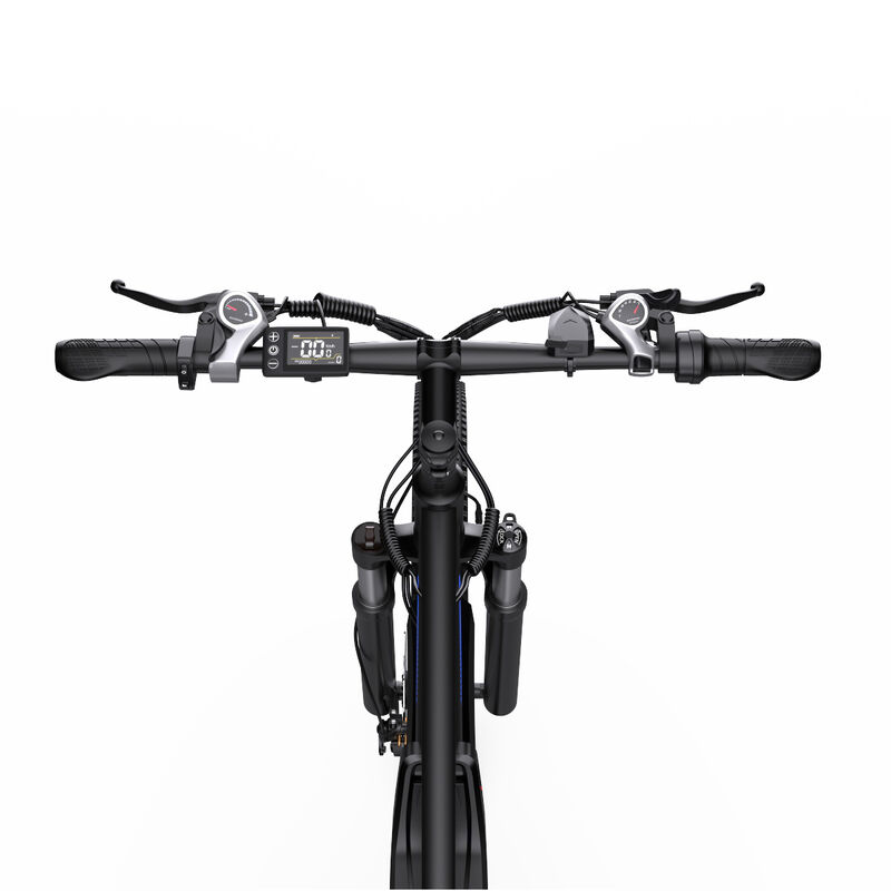 750W 48V 15Ah C29 Electric Mountain Bike Adult Hybrid City Off Road Electric Bicycle