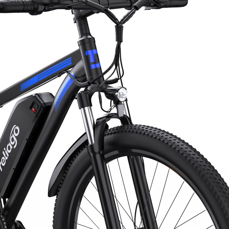 Adults C29 Dual E Bike 29