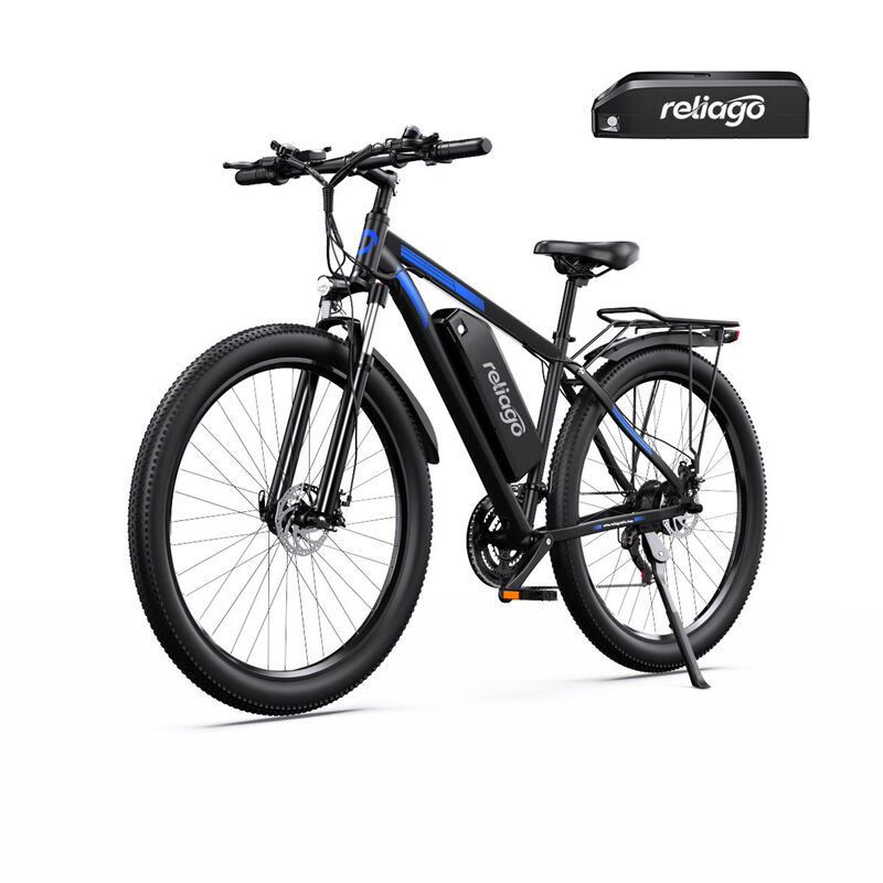 Adults C29 Dual E Bike 29