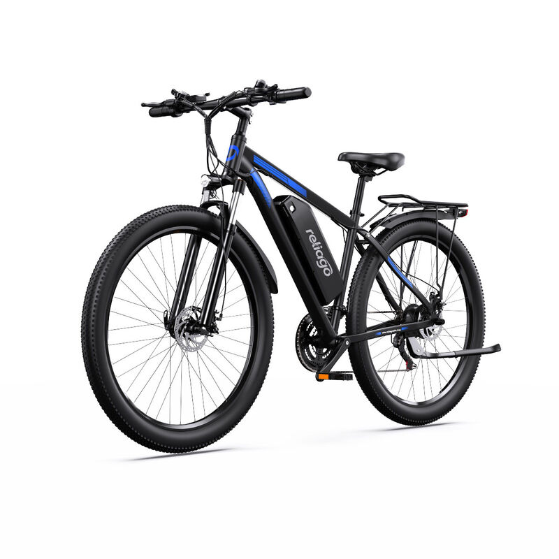 Adults C29 Dual E Bike 29