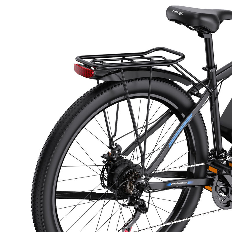 Adults C29 Dual E Bike 29